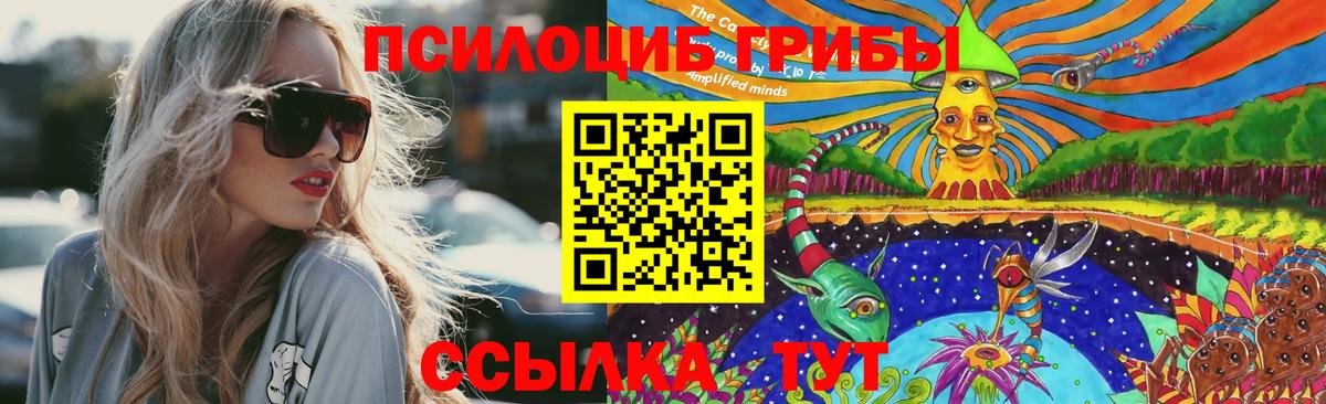 сколько стоит  Галлюциногенные грибы прущие грибы  Нижнекамск  Вход с VPN  Галлюциногенные грибы Magic Shrooms 